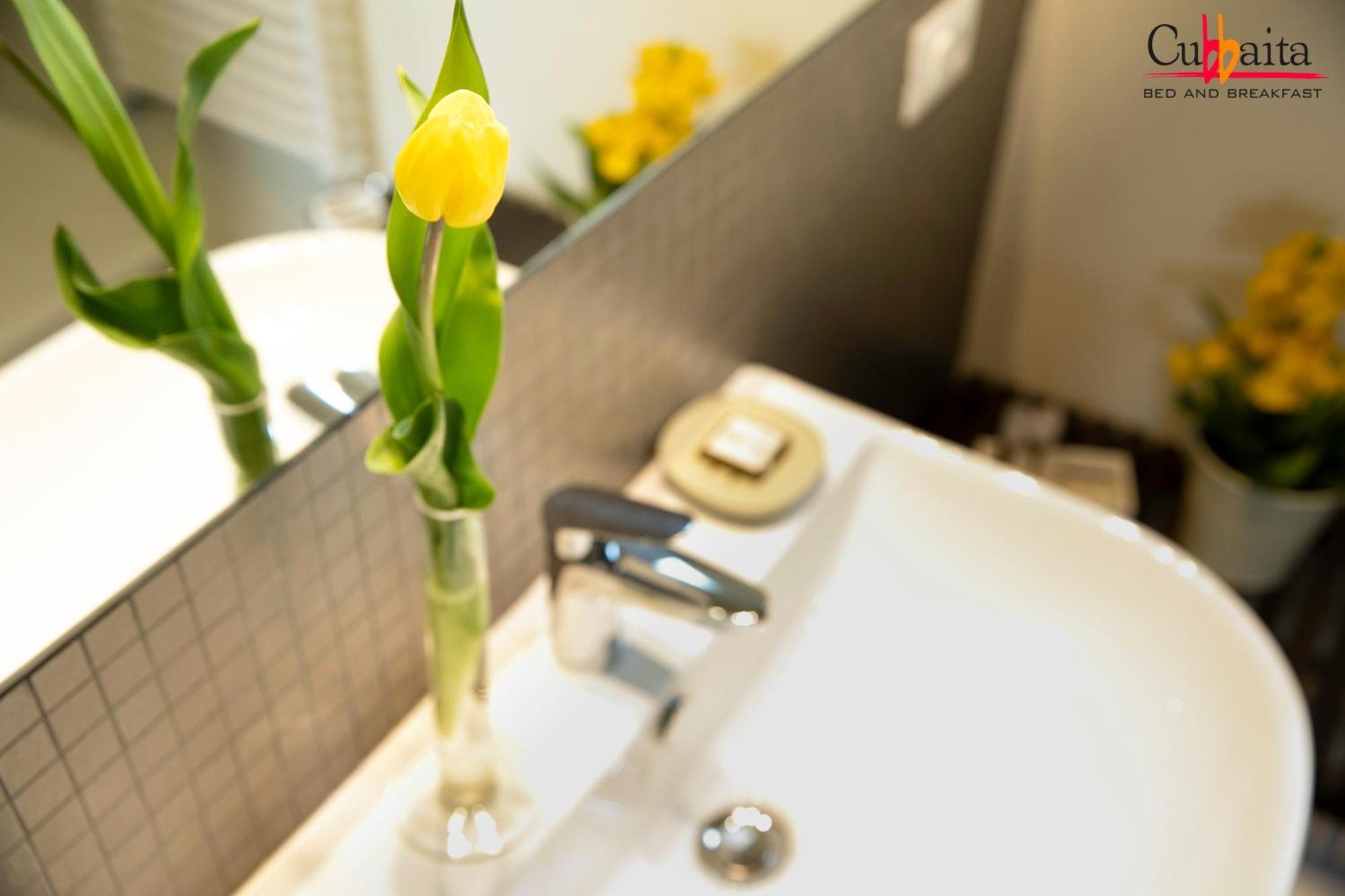 Suite Deluxe